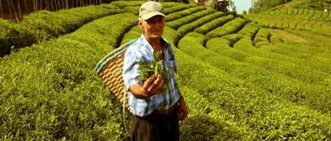 بررسی صنعت لوازم خانگی در کشور ترکیه