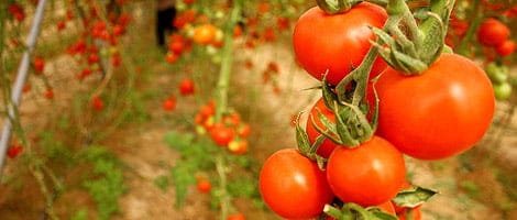 بررسی صنعت لوازم خانگی در کشور ترکیه